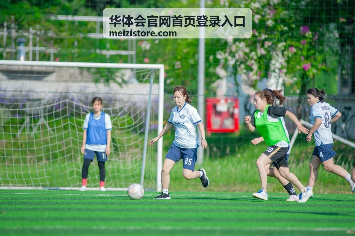 华体会官网首页登录入口功能模块展示区