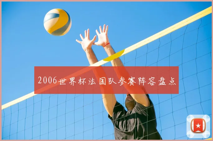 2006世界杯法国队参赛阵容盘点