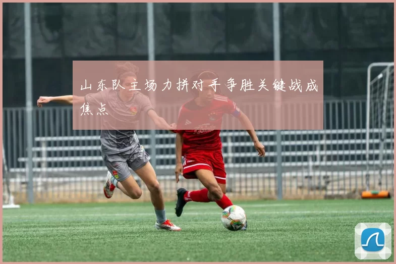 山东队主场力拼对手争胜关键战成焦点