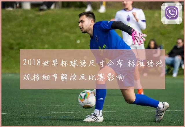 2018世界杯球场尺寸公布 标准场地规格细节解读及比赛影响